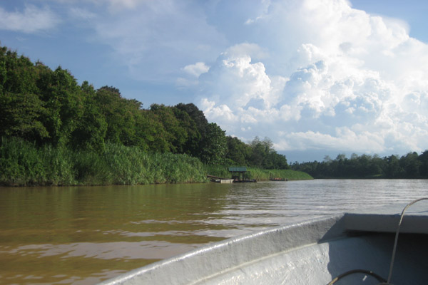 Rivier de Kinabatangan op Sabah